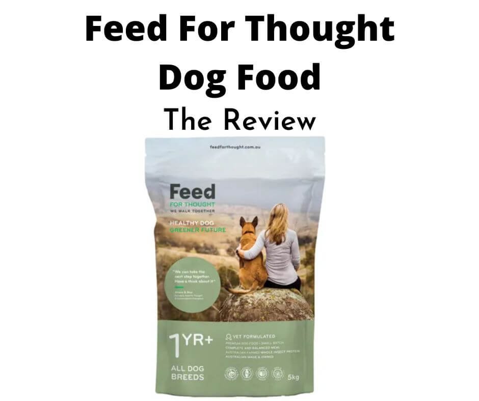 Feed For Thought Dog Food.