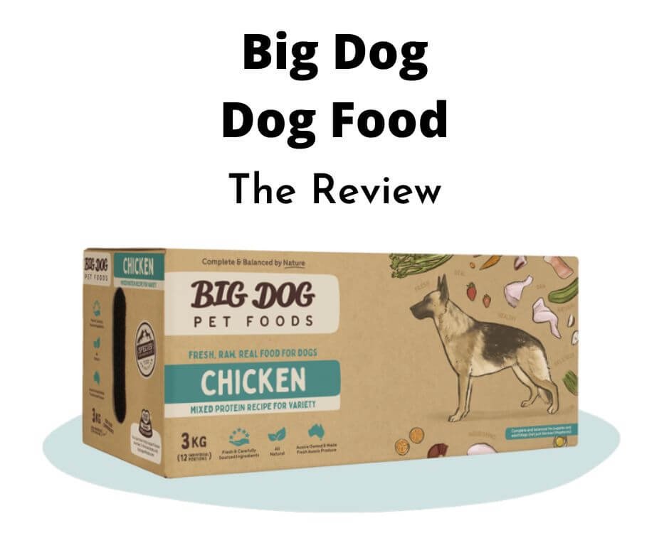 Big Dog Dog Food.